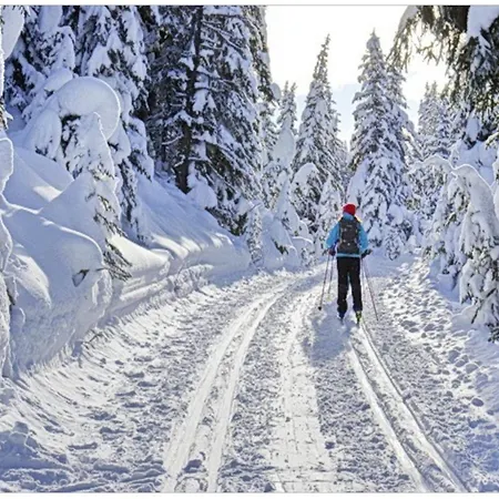 Edelweiss - 3 To 6 Guests - Private Use Of Indoor Pool, Sauna And Garden Terrace Appartement Abtenau