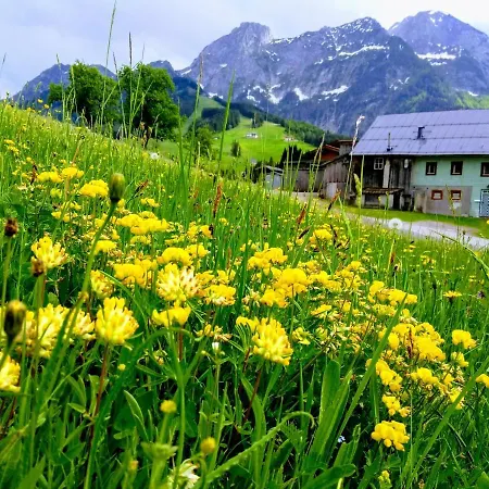 Apartment Edelweiss - 3 To 6 Guests - Private Use Of Indoor Pool, Sauna And Garden Terrace *