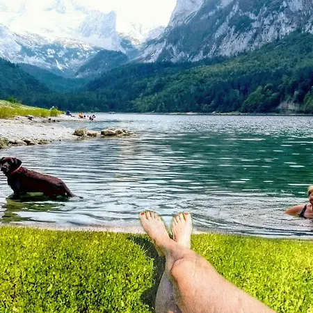 Edelweiss - 3 To 6 Guests - Private Use Of Indoor Pool, Sauna And Garden Terrace * Abtenau