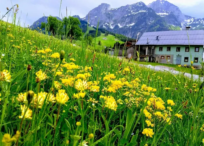 公寓 Edelweiss - 3 To 6 Guests - Private Use Of Indoor Pool, Sauna And Garden Terrace *